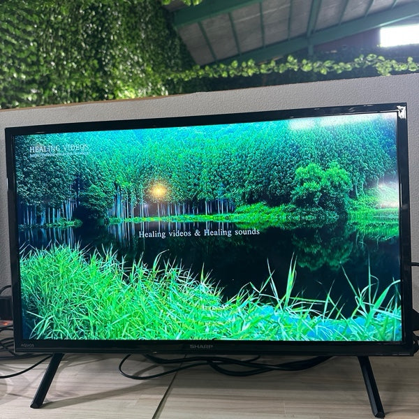 テレビ 2T-C24EF1【ITXYIVXE3DHK】